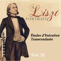 A Liszt Portrait, Vol. XI专辑