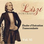 A Liszt Portrait, Vol. XI