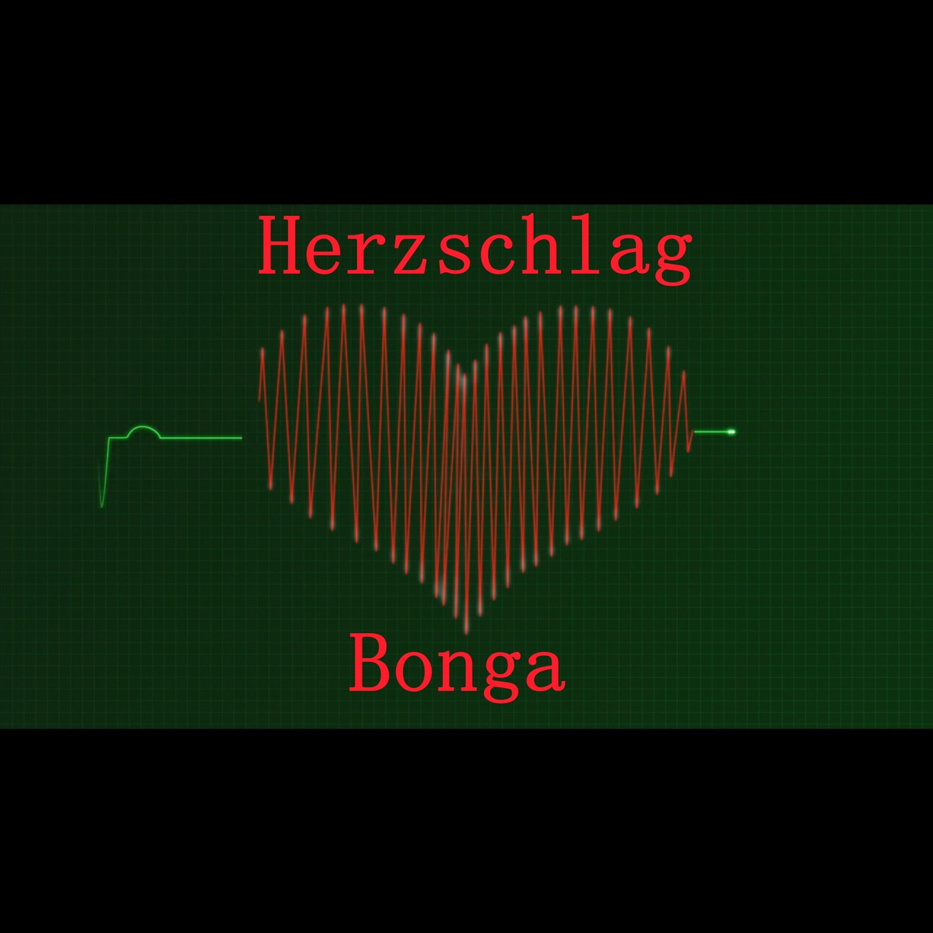 Bonga - Herzschlag