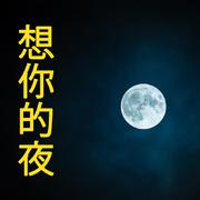 Nights of Missing You (想你的夜)