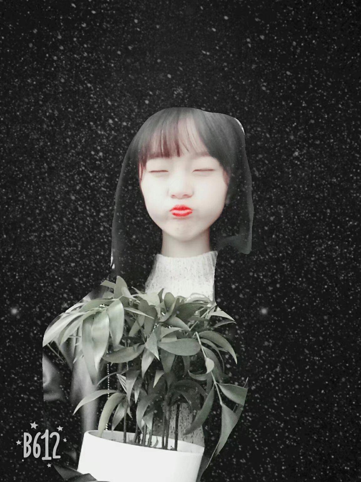 听之夏寻 寻之寒苋专辑