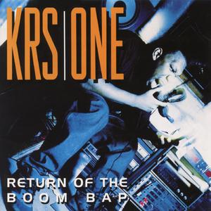 KRS One - Sound Of Da Police Remix (Instrumental) 无和声伴奏 （降8半音）