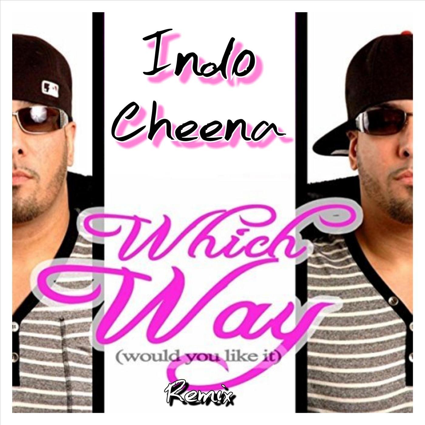 Which Way (Would You Like It) [Remix] [feat. Gordon James & John Dogg]