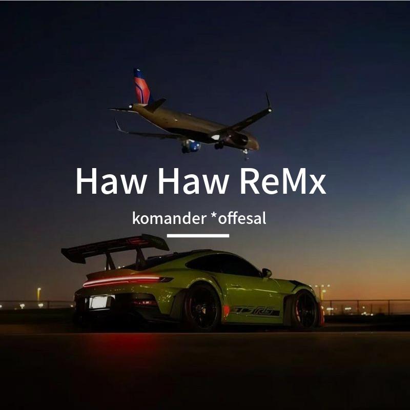 Haw Haw ReMx