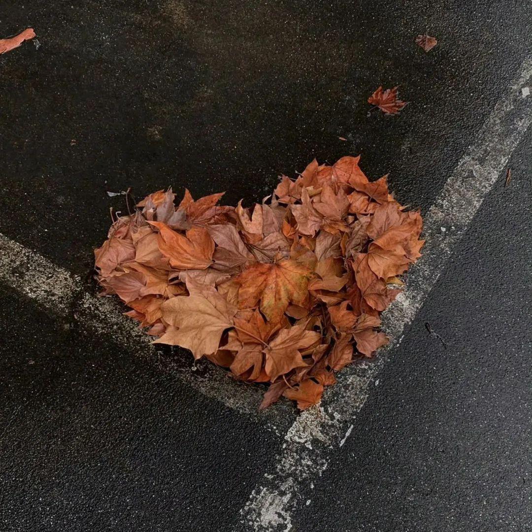 我还记得那天