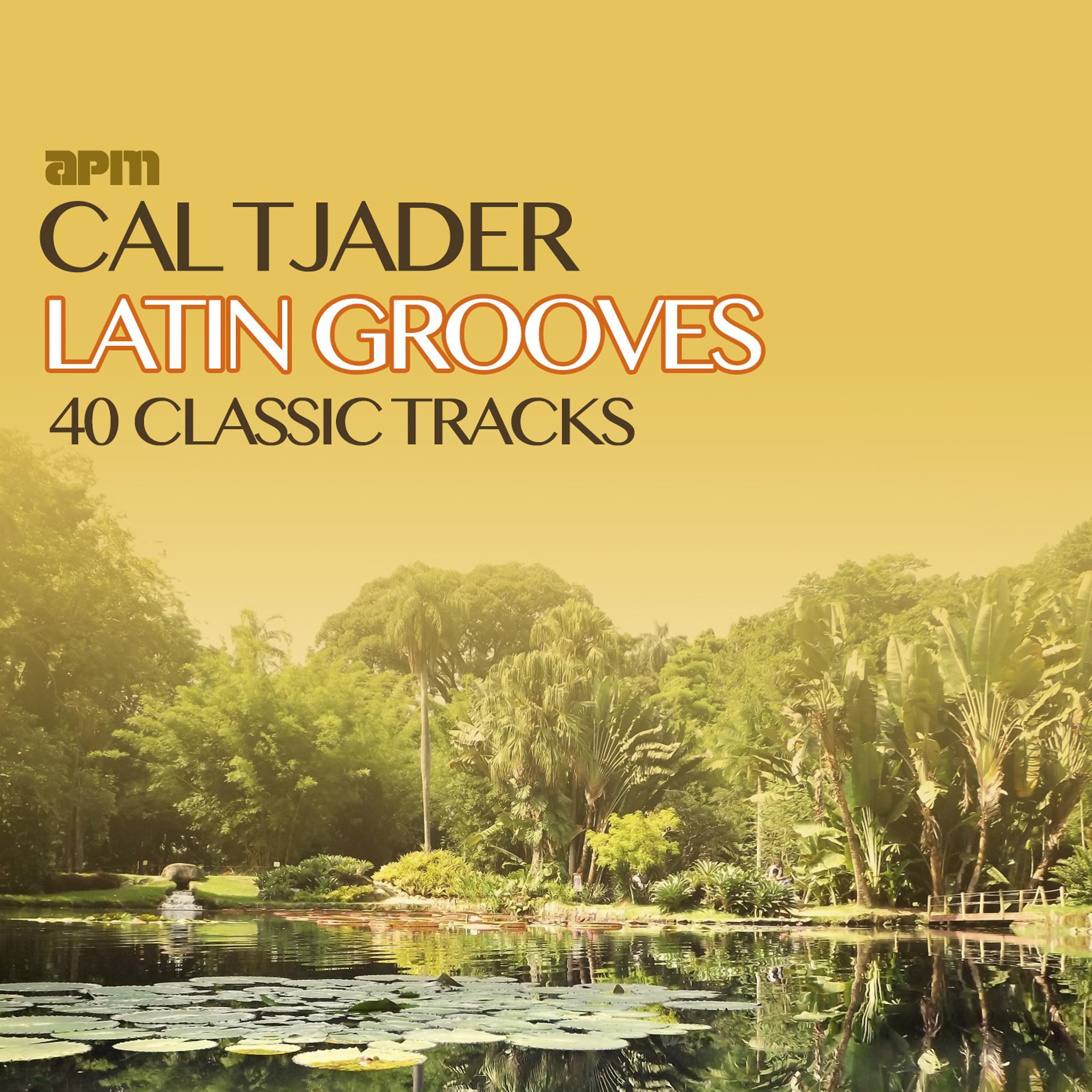 Latin Grooves - 40 Classic Tracks