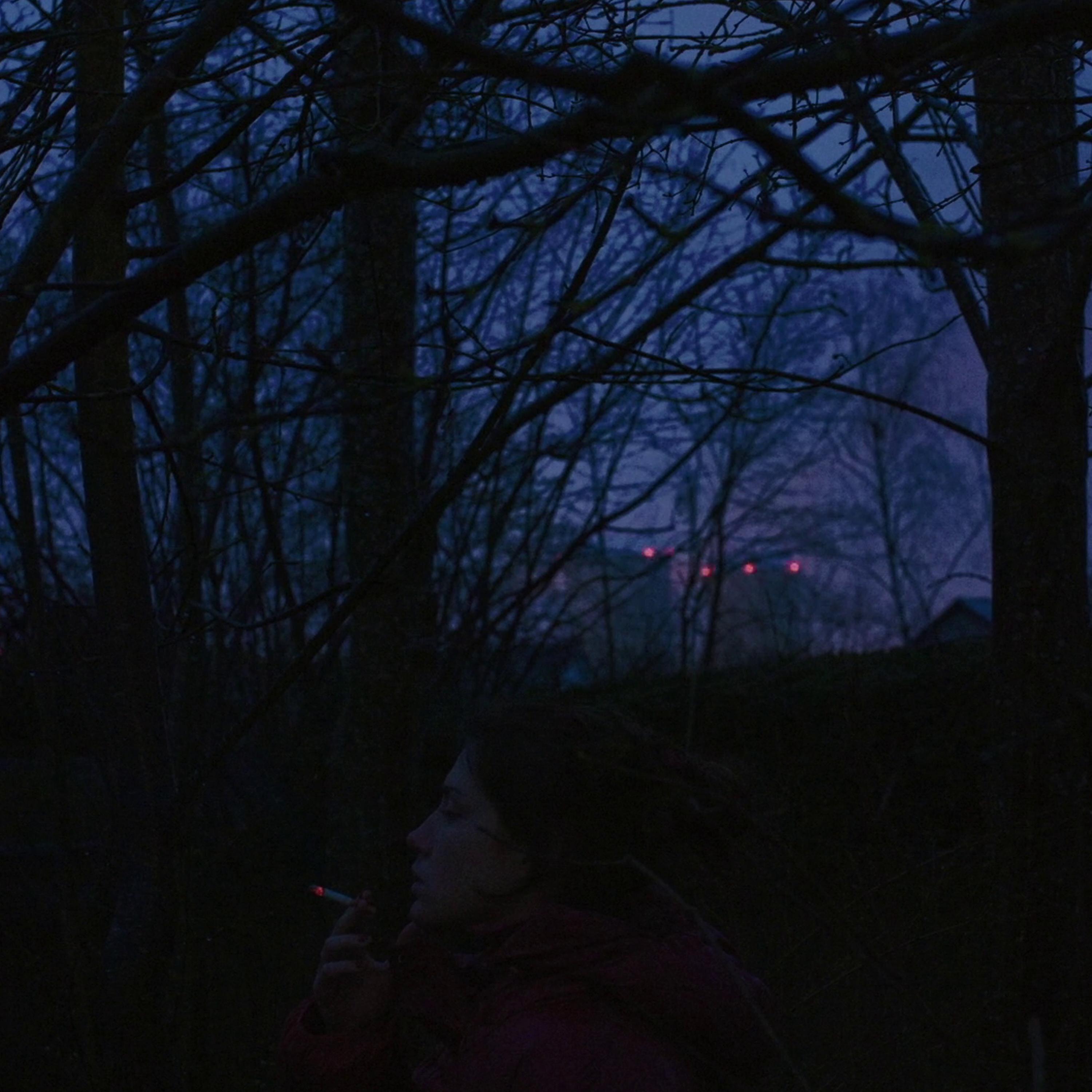 I Really Want to Stay at Your House