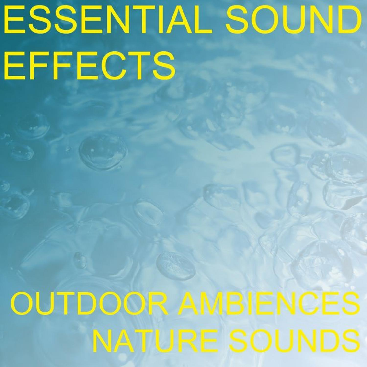 Airplane Aeroplane Cabin Airliner Background Ambient Noise Engine Hum Interior Ambiance Ambience Sound Effects Sound Effect Sounds EFX Sfx FX Natural Ambience Sounds Airports and Airplanes