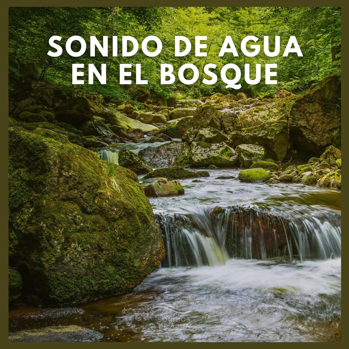 Sonidos De Agua - Sonido de Agua en el Bosque (30)