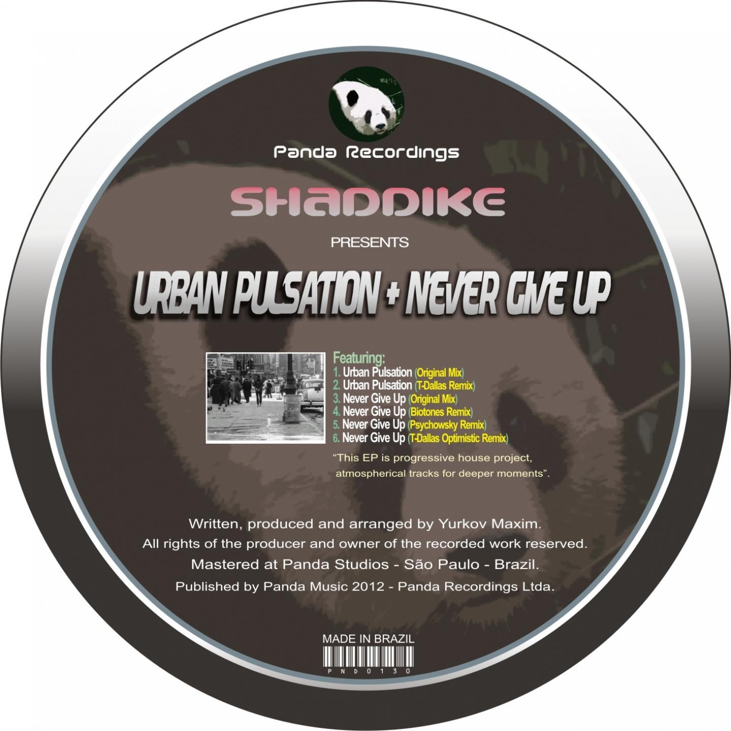 Urban Pulsation / Never Give Up (Remixes)