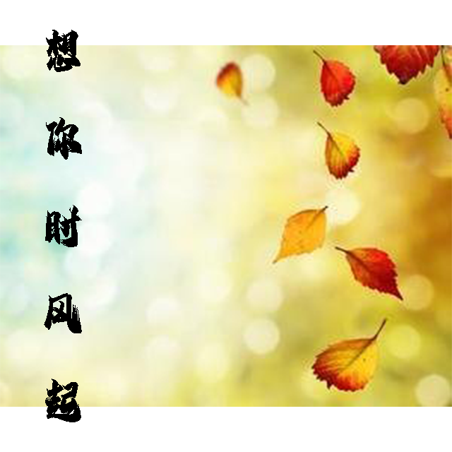 想你时风起