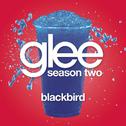 Blackbird (Glee Cast Version)专辑