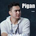 Pigan