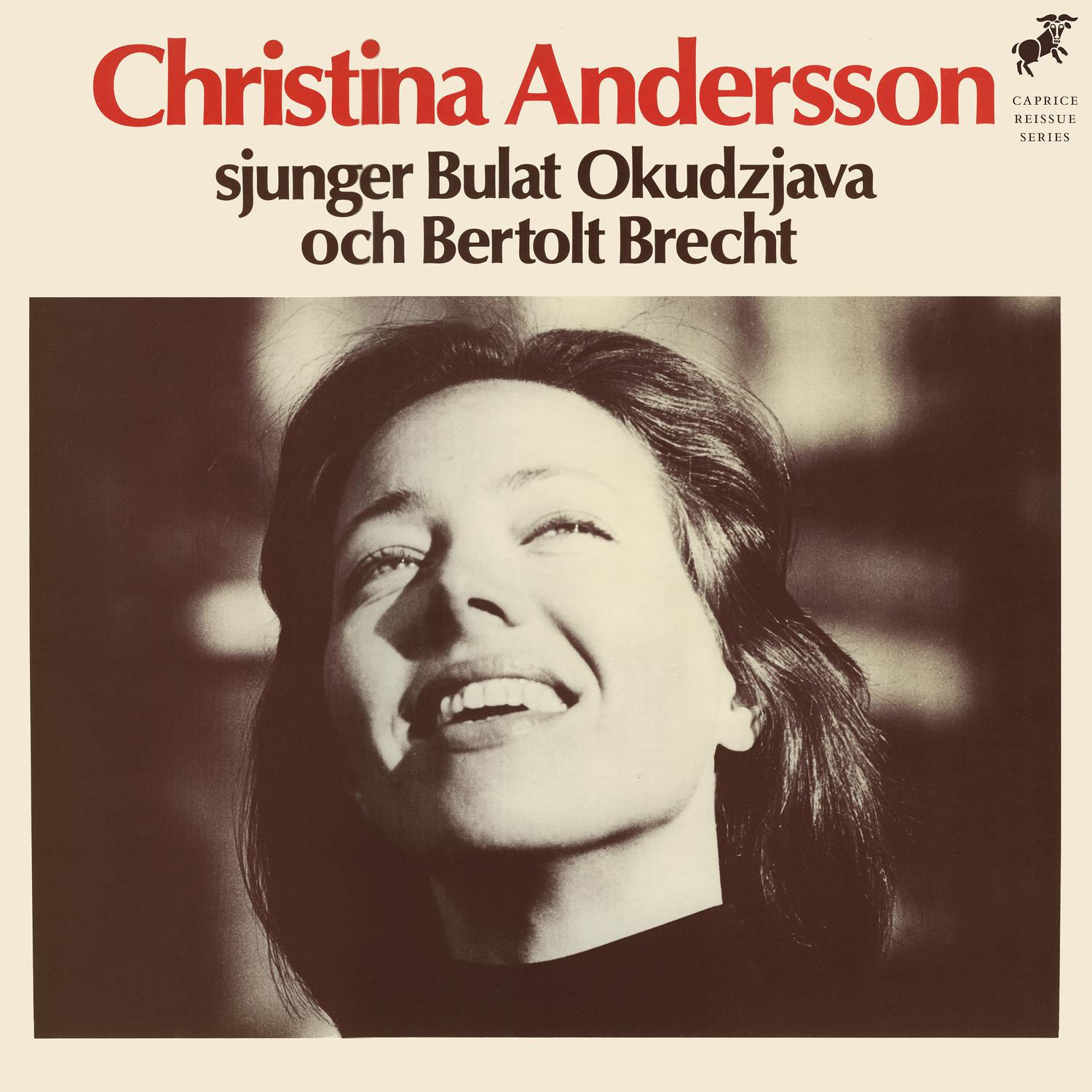 Christina Andersson - Dumskallevisan