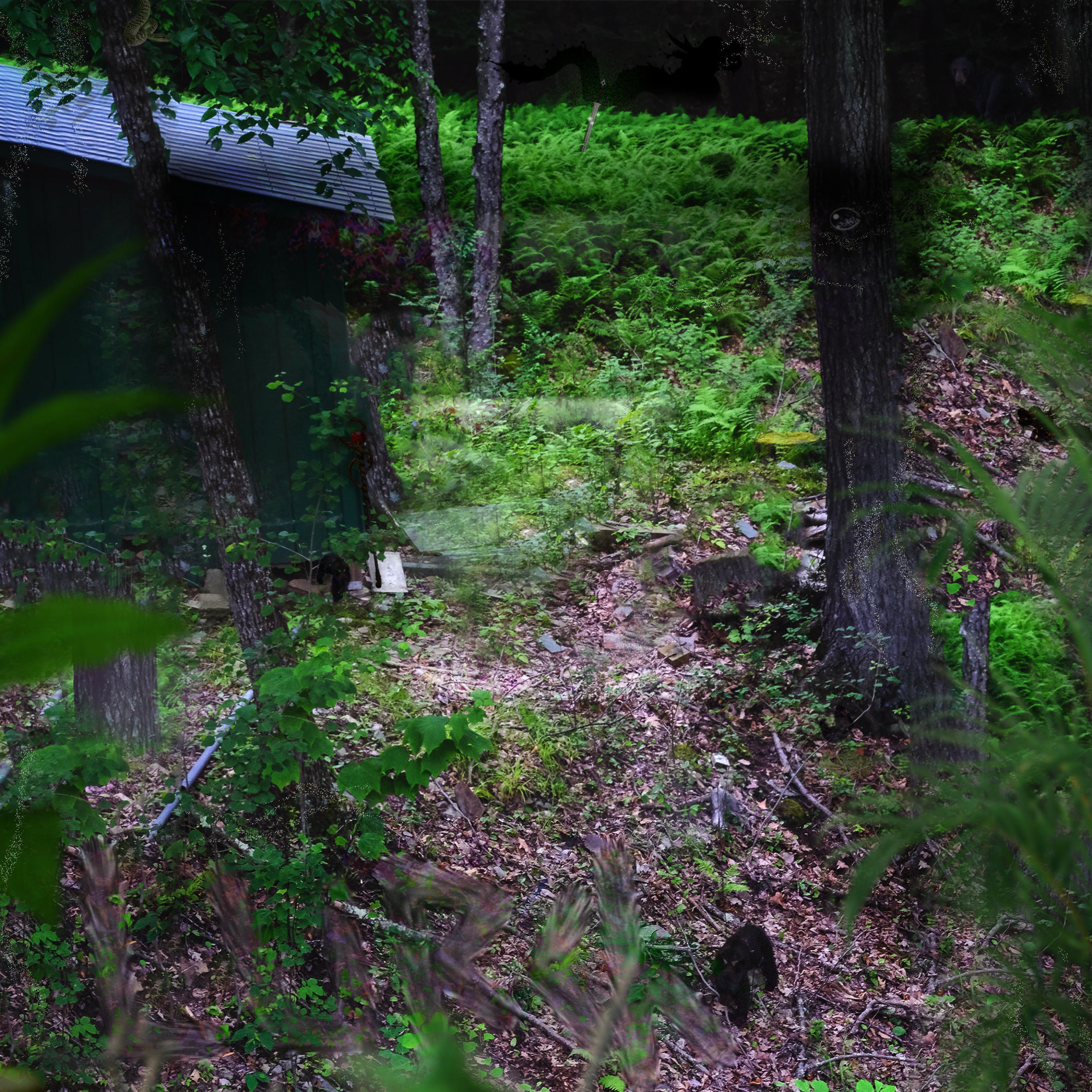 Born to Lurch (feat. Xaviersobased)