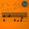 Wild Rain and Nature Music Club - Enchanting Late Morning Breeze Melody