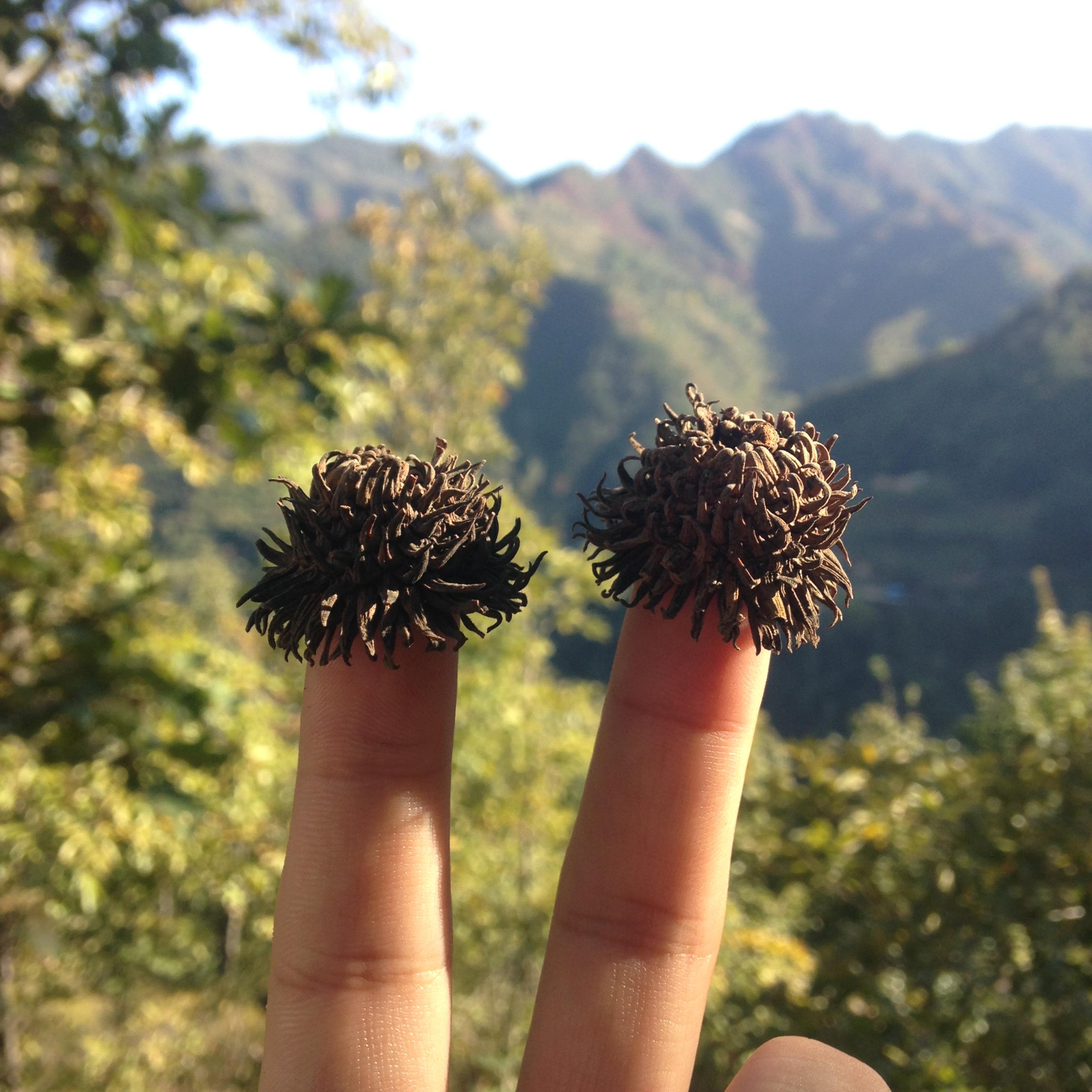 偷色
