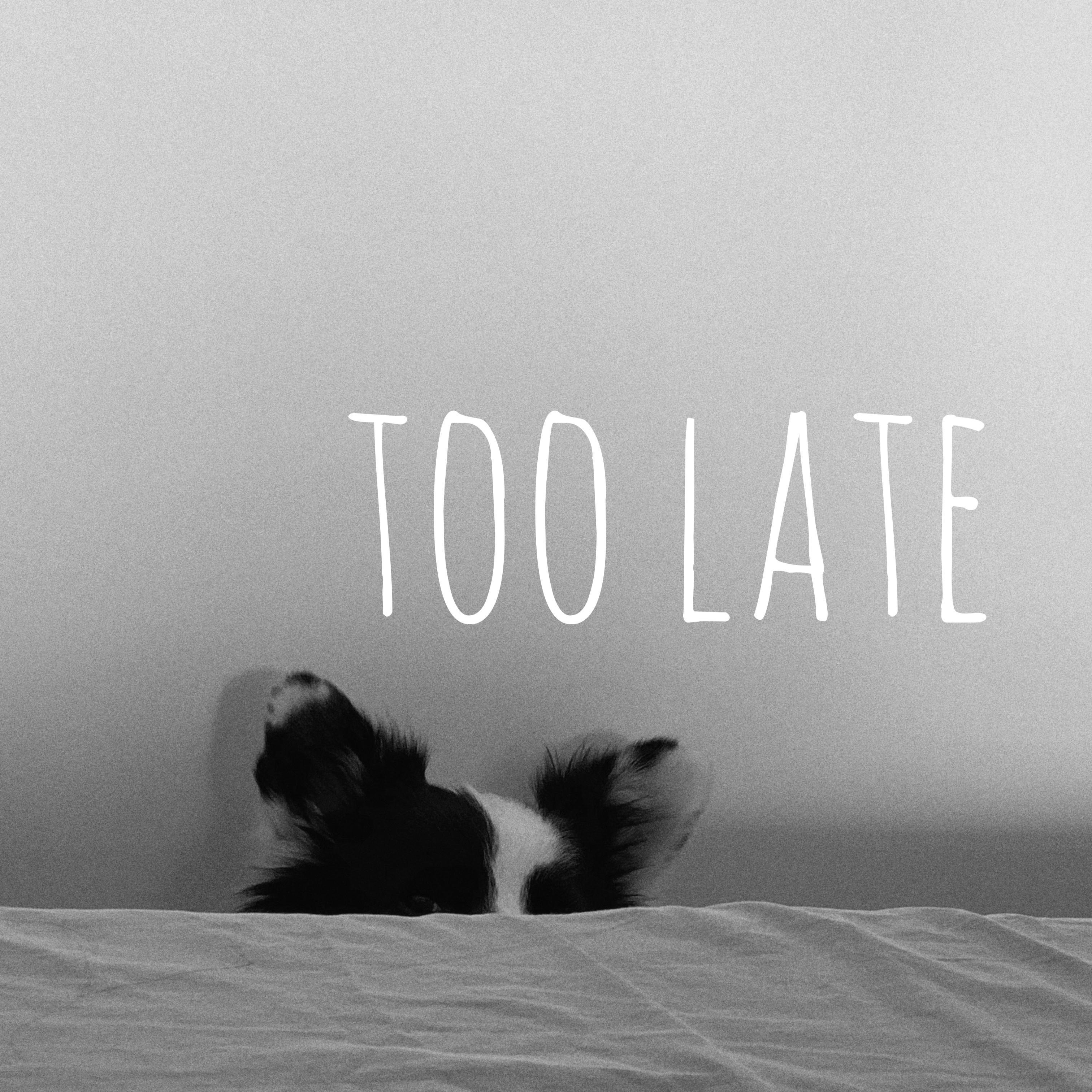 TOO LATE.