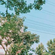 Summer II