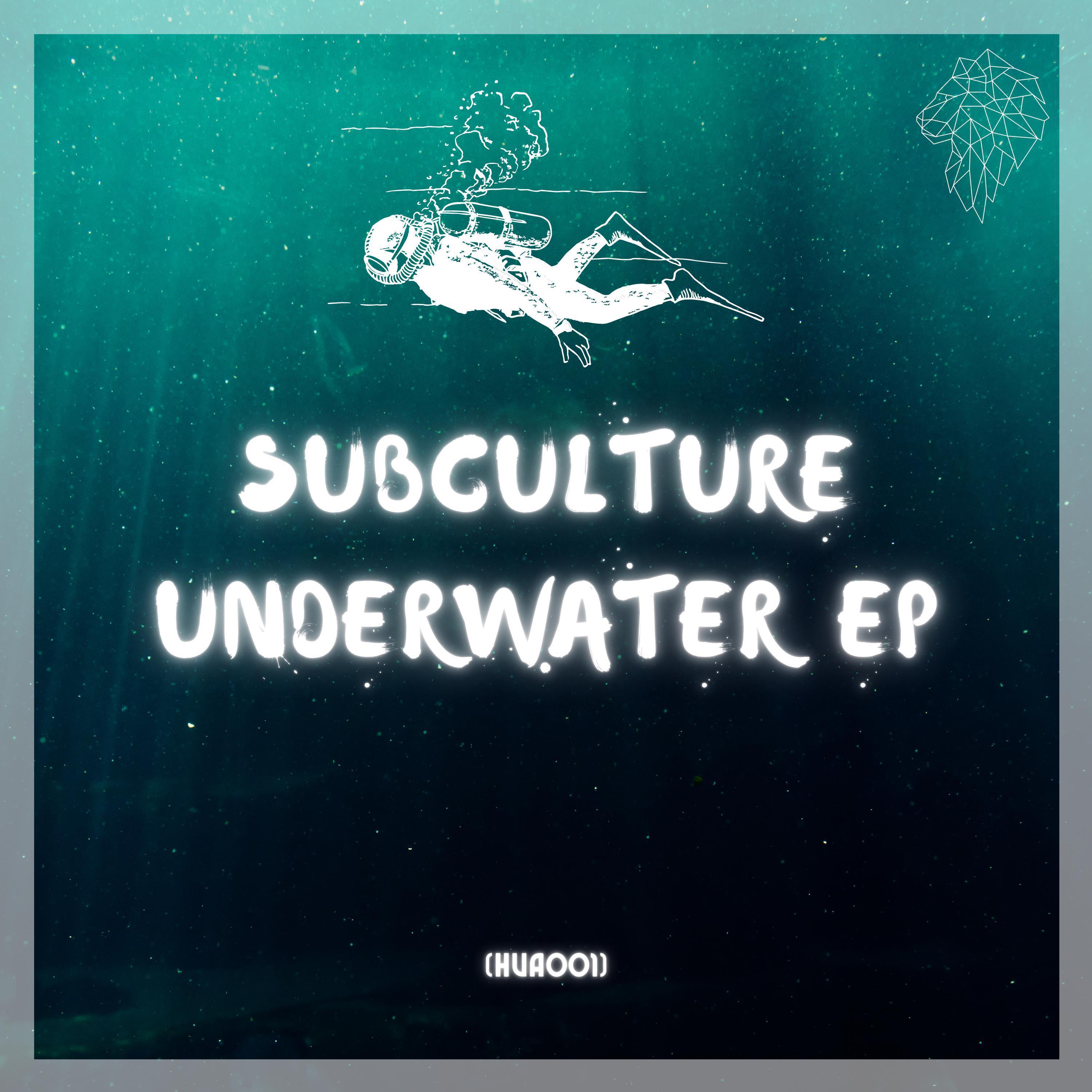 Subculture - Kehena Beach