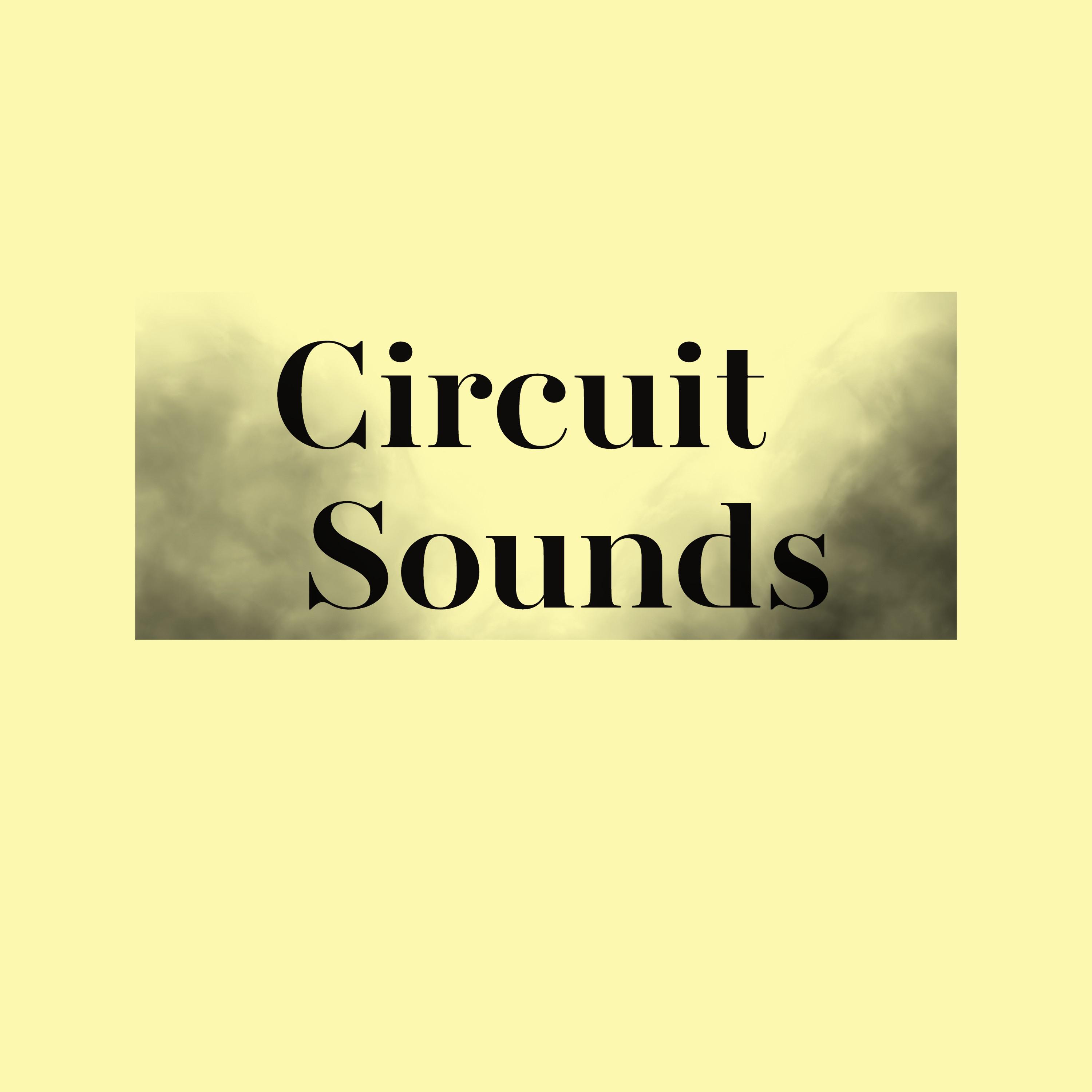 Circuit Sounds - Spring Beat
