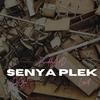 Pwiddy HD - Senya Plek (feat. DeCool & LEV3L)