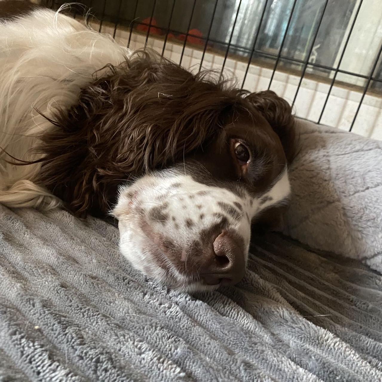 你没有爱情，可能是因为你不懂耍流氓