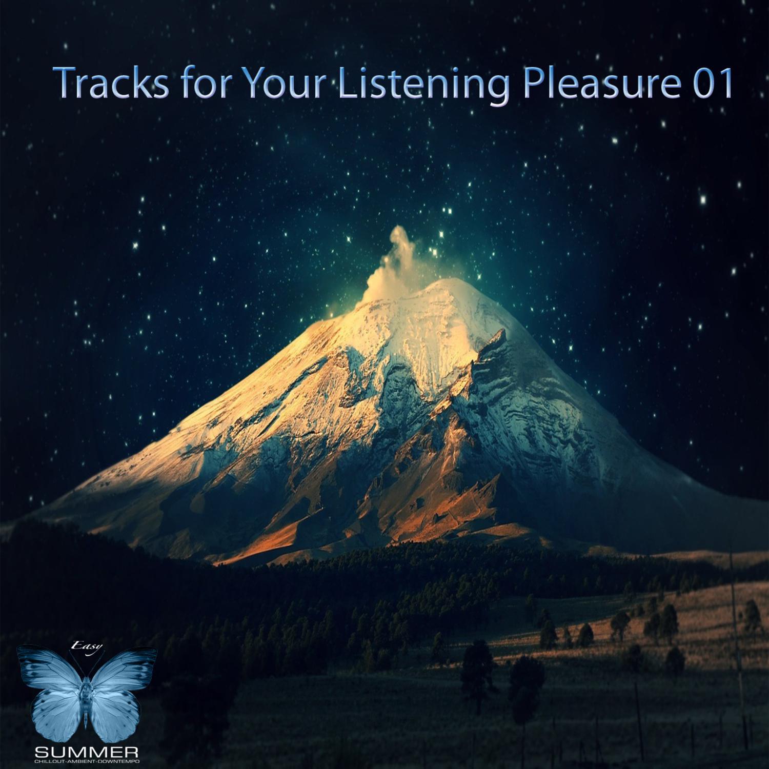 Tracks For Your Listening Pleasure 01专辑