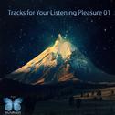 Tracks For Your Listening Pleasure 01