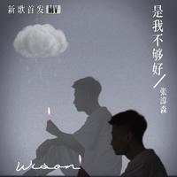 郑天宇 - 不是我不够好(原版伴奏)