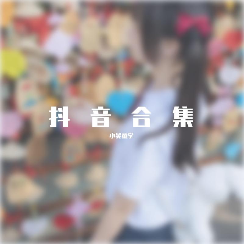 凤凰花开的路口（抖音版）