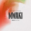 Zerb - Mwaki (Tiësto's VIP Mix)