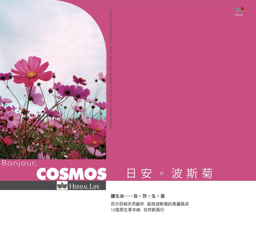 日安波斯菊