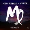 New Reign - The Night (Instrumental)