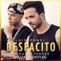 Despacito (Vaizar Bootleg)专辑