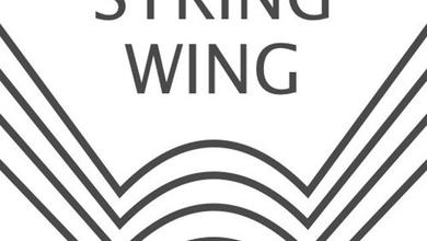 StrtingWing