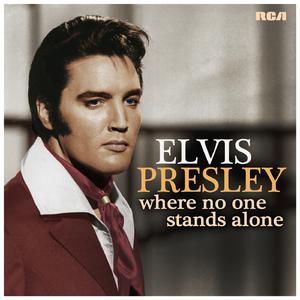 I've Got Confidence - Elvis Presley (Karaoke Version) 带和声伴奏