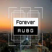 Forever (Hardstyle VIP Mix）