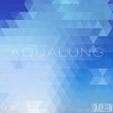 Aqualung专辑