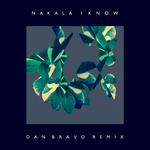 I Know (Dan Bravo Remix)专辑