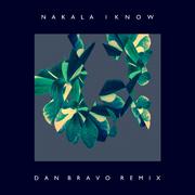 I Know (Dan Bravo Remix)