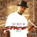 The Best of Spice 1, Vol. 2专辑