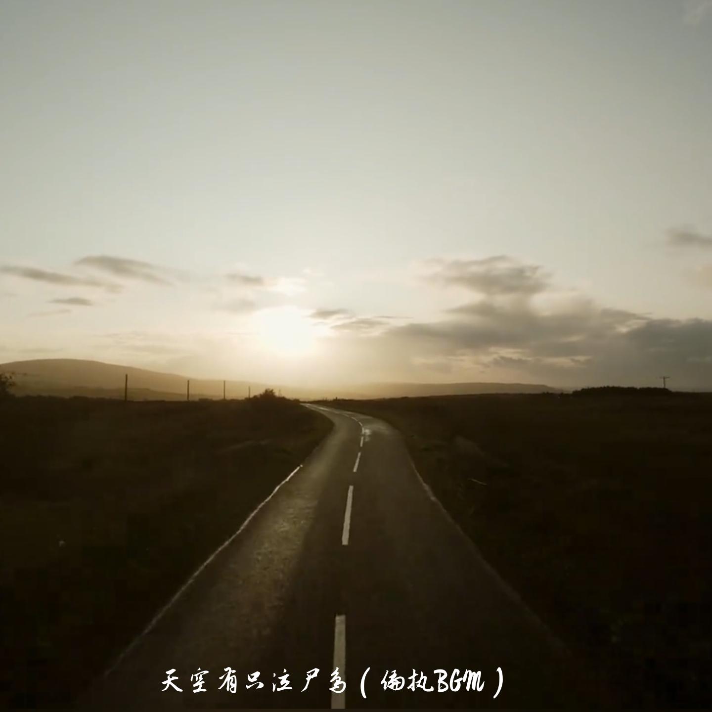 天空有只泣尸鸟 (偏执bgm)