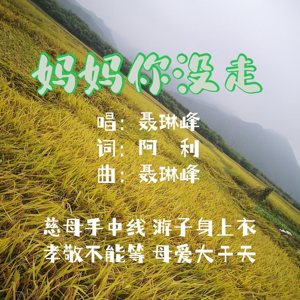 妈妈你没走