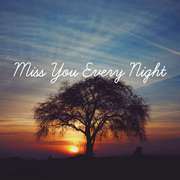 Miss You Every Night