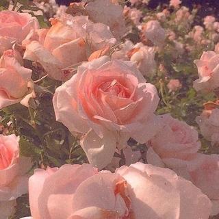 温柔 | 表白歌单♡关于喜欢你这件事
