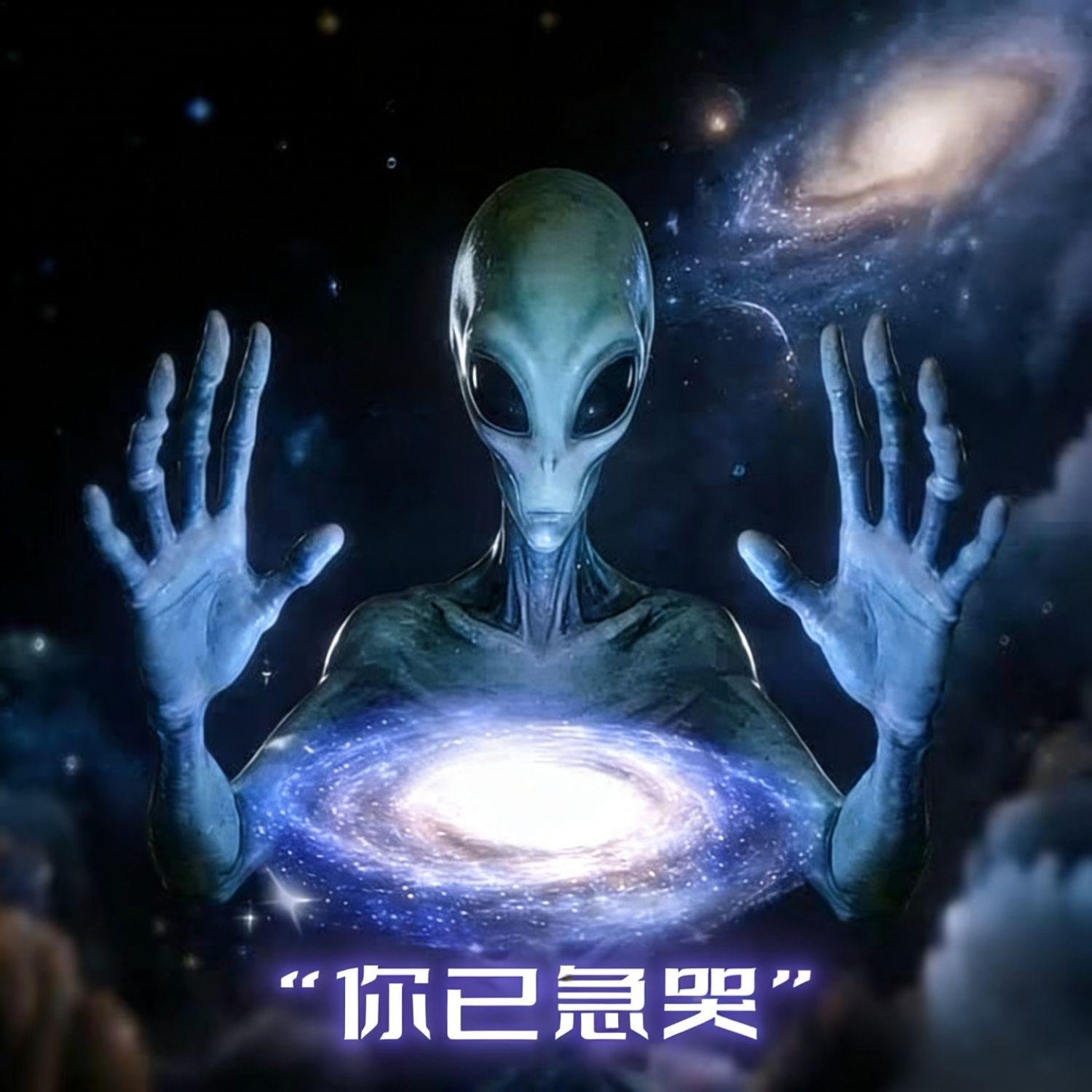 你已急哭 你没急吧（急你雷霆小曲）