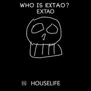 WHO IS EXTAO