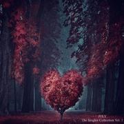 The Sea of Summer in Those Days