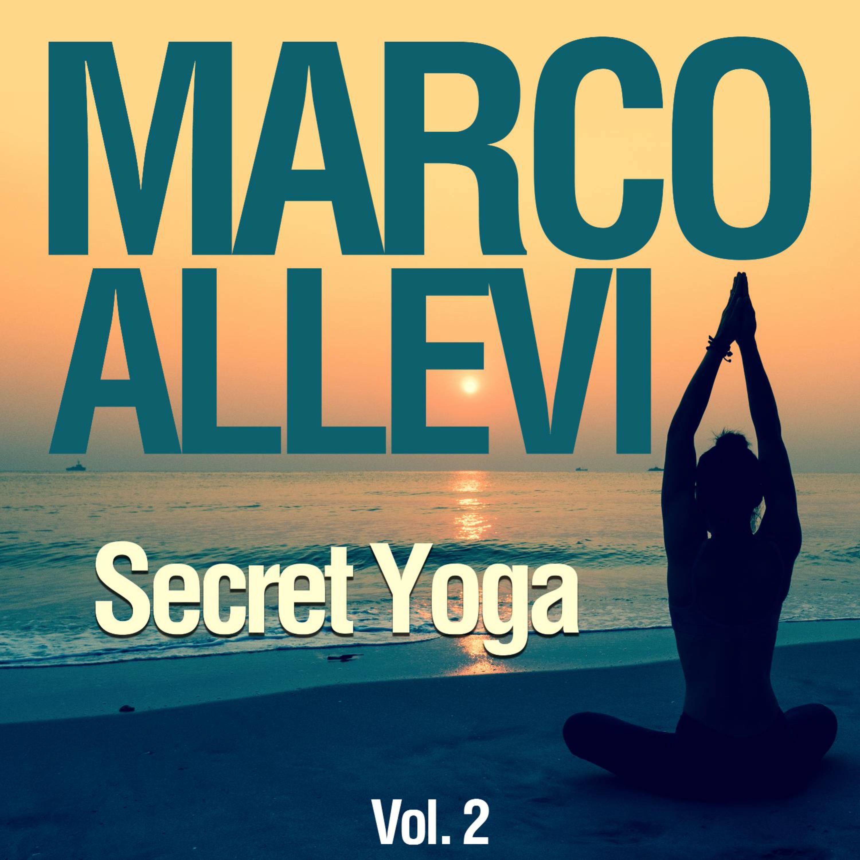 Secret Yoga, Vol. 2